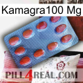 Kamagra100 Mg 06